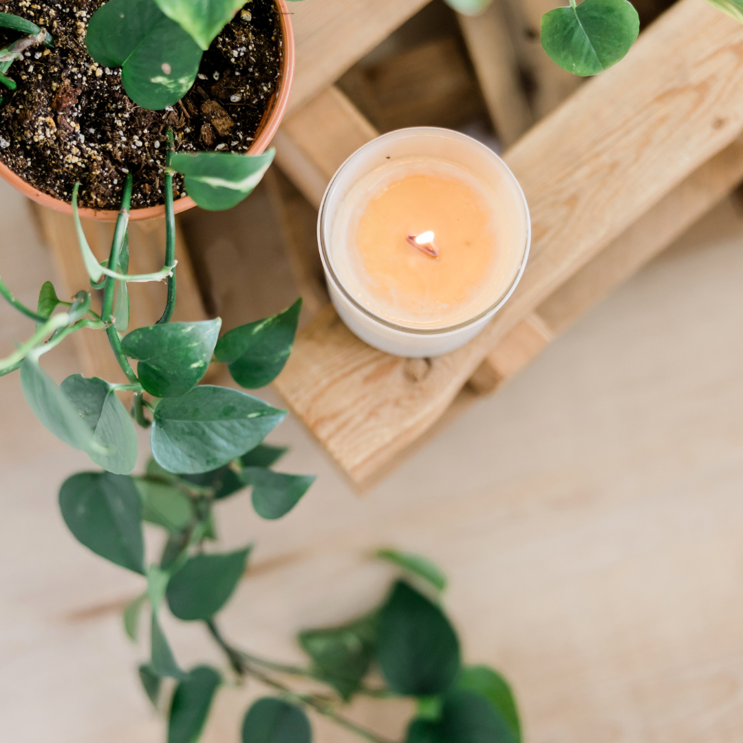 Lemongrass - Pure Essential Oil Candle
